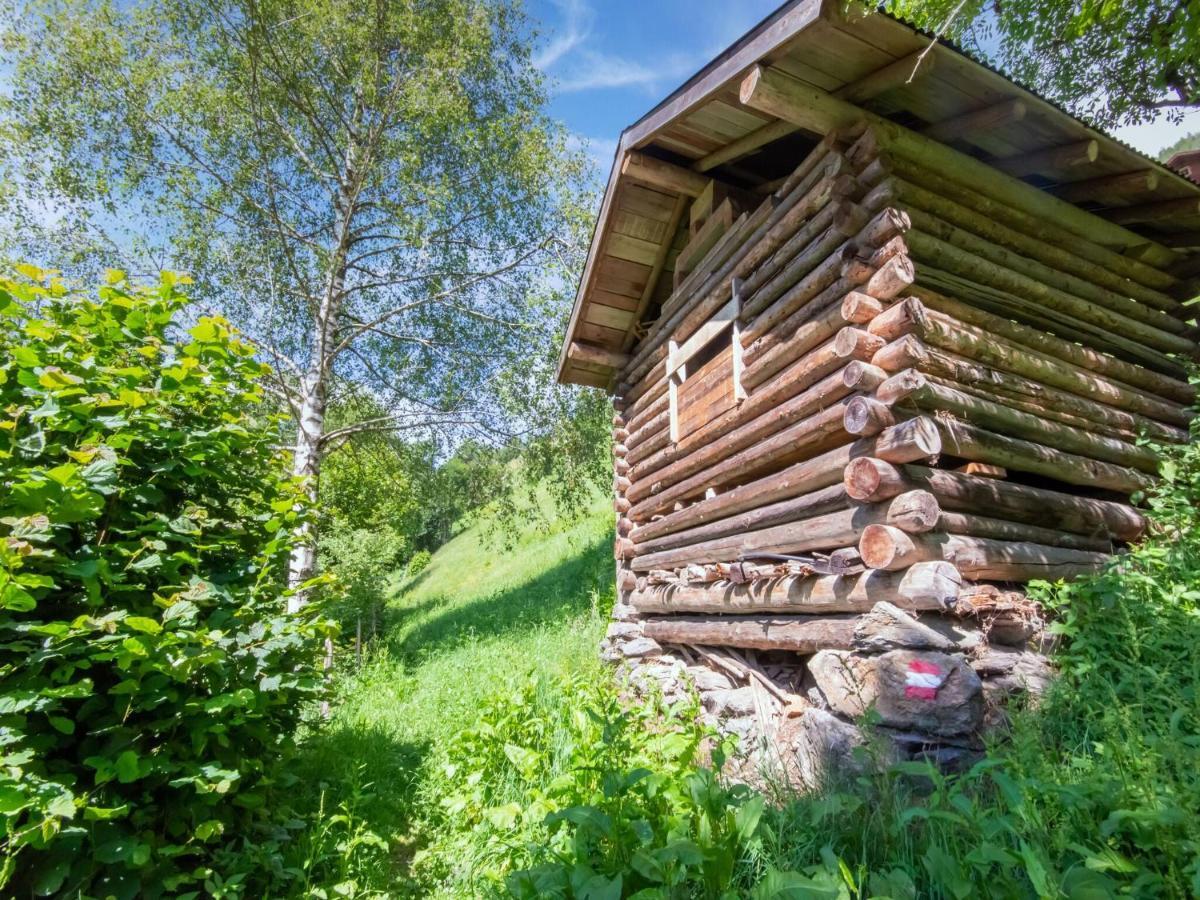 Cosy Holiday Home At The Wildkogel Bramberg am Wildkogel Kültér fotó